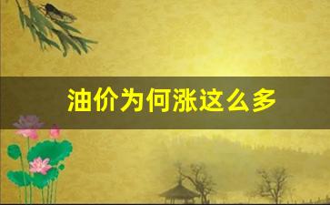 油价为何涨这么多-油价为啥如此涨