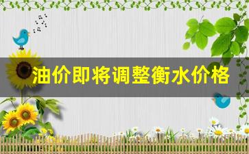河北衡水油价今日价格-油价即将调整衡水价格表