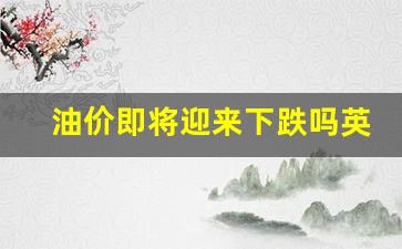 油价即将迎来下跌吗英语翻译-油价即将迎来下跌吗英语
