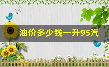 最新95汽油多少钱一升-油价多少钱一升95汽油