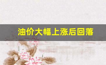 油价大幅上涨后回落-油价上涨会持续多久