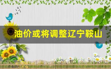 鞍山油价调整最新消息-油价或将调整辽宁鞍山