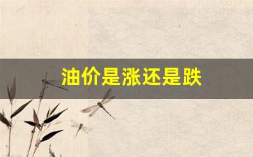 最近油价是涨还是跌-油价是涨还是跌