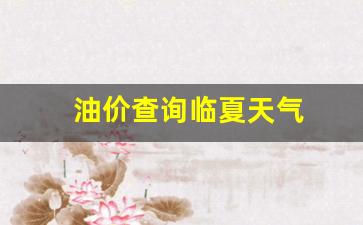 临夏92汽油今日价格中石油_油价查询临夏天气