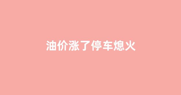 汽油涨价车都开不起了_油价涨了停车熄火