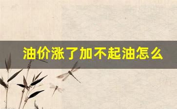 油价这么涨还能买车吗_油价涨了加不起油怎么回事