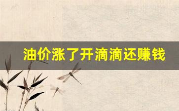 油价涨了开滴滴还赚钱吗知乎_油价涨了开滴滴还赚钱吗