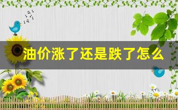 油价涨了还是跌了怎么办-油价上涨了怎么办