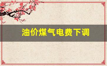 油价煤气电费下调_燃气费降价