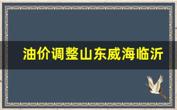 油价调整山东威海临沂-山东油价上调