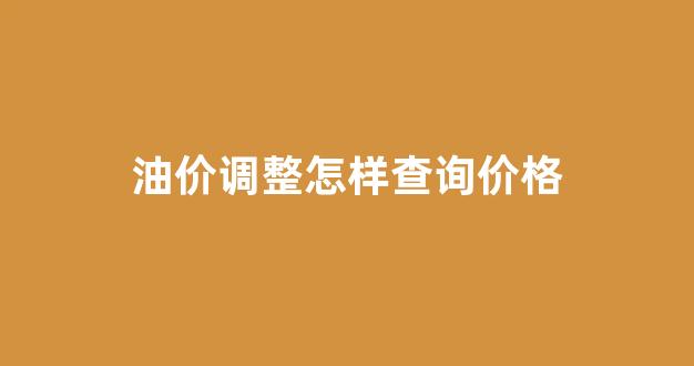 油价调整怎样查询价格_油价调整怎样查询价格信息