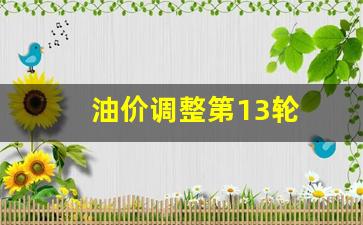 油价调整第13轮-油价第13次上调