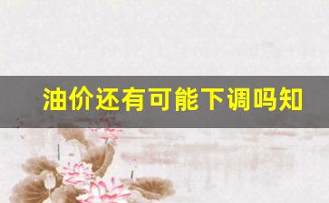 油价还有可能下调吗知乎-油价能下降吗
