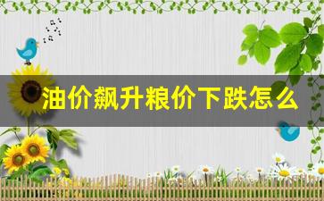 油价猛升-油价飙升粮价下跌怎么办