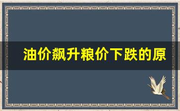 油价升降的原因-油价飙升粮价下跌的原因