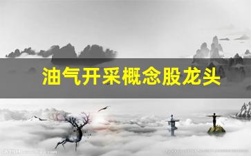 油气开采概念股龙头(油气开采及服务股票)_https://www.nalian8.com_北交所_第1张