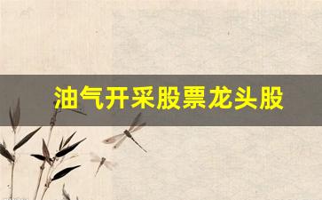 油气开采股票龙头股(油气开采板块)_https://www.hn-life.com_深交所_第1张