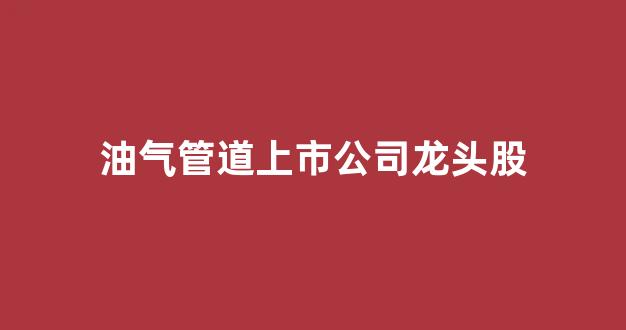 油气管道上市公司龙头股(油气管道上市公司龙头股 国企)_https://www.lclxwz.com_广期所_第1张