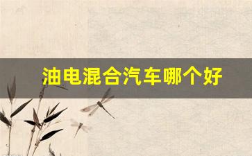 油电混合汽车哪个好(油电混合汽车哪个好越野)_https://www.hangfeite.com_深交所_第1张