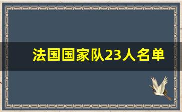 法国国家队23人名单表-法国国家队23人名单