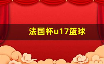 法国队 篮球-法国杯u17篮球
