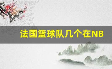 法国篮球队几个在NBA-法国篮球国家队有多少nba球星