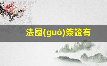 法國(guó)簽證有電子簽證(法國(guó)簽證費(fèi)用)