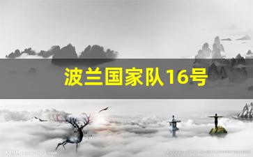 波兰国家队16号-波兰国家队16号球员