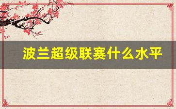 波兰超级联赛什么水平-波兰超级联赛比分查询