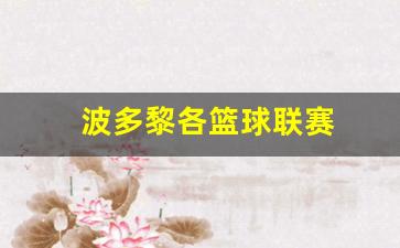 波多黎各篮球联赛-波多黎各篮球联赛赛程表2024