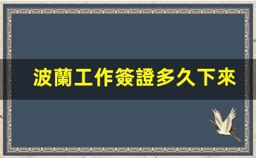 波蘭工作簽證多久下來(波蘭工簽新規(guī)定)