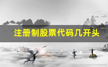 注册制股票代码几开头(怎么识别注册制股票代码)_https://www.wanyuyiyao.com_深交所_第1张
