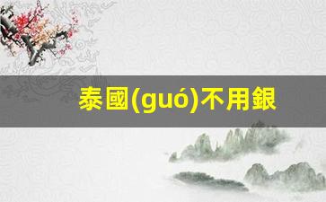 泰國(guó)不用銀行卡取錢(去泰國(guó)銀行卡可以用嗎)