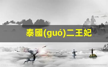 泰國(guó)二王妃續(xù)簽(泰國(guó)二王子現(xiàn)狀)