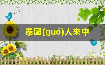泰國(guó)人來中國(guó)工作簽證辦理流程(泰國(guó)人來中國(guó)工作簽證辦理流程圖)