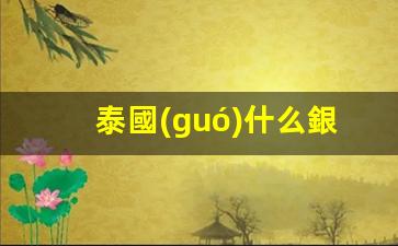 泰國(guó)什么銀行卡方便(哪種銀行卡可以在泰國(guó)用)