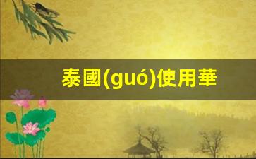泰國(guó)使用華夏銀行卡嗎(泰國(guó)使用華夏銀行卡嗎知乎)