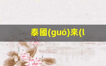 泰國(guó)來(lái)華工作簽江蘇簽證(泰國(guó)人來(lái)華工作簽證)