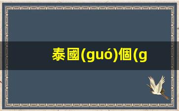 泰國(guó)個(gè)人旅游簽證停留天數(shù)及有效期詳解