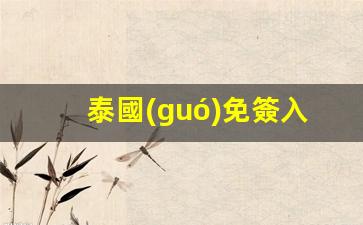 泰國(guó)免簽入境嗎(泰國(guó)免簽最新政策)