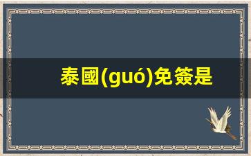 泰國(guó)免簽是不用護(hù)照嗎現(xiàn)在(2021年泰國(guó)免簽嗎)