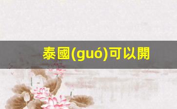 泰國(guó)可以開(kāi)戶(hù)香港銀行卡(泰國(guó)銀行卡可以在中國(guó)銀行取錢(qián)嗎)