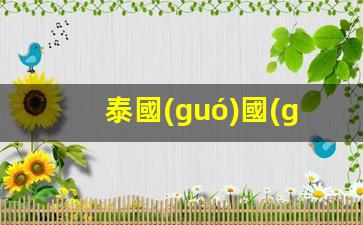 泰國(guó)國(guó)際學(xué)校銀行卡解析，揭秘泰國(guó)國(guó)際學(xué)校教育品質(zhì)與金融服務(wù)優(yōu)勢(shì)