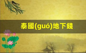 泰國(guó)地下錢(qián)莊銀行卡凍結(jié)(泰國(guó)銀行卡長(zhǎng)什么樣)