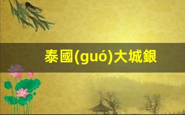 泰國(guó)大城銀行卡怎么激活(泰國(guó)大城銀行卡怎么激活使用)