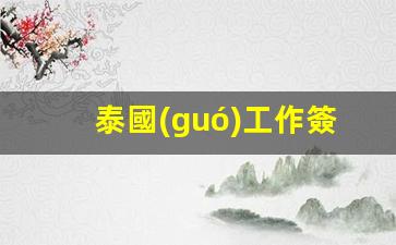 泰國(guó)工作簽可以帶孩子嗎(泰國(guó)工作簽要求)