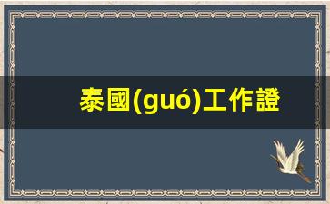 泰國(guó)工作證辦商務(wù)簽(泰國(guó)的工作簽證好辦嗎)