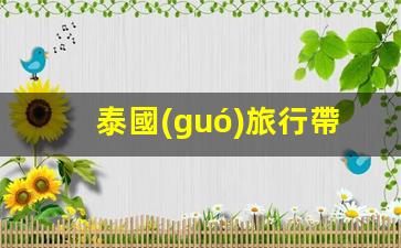 泰國(guó)旅行必備攻略，如何選擇最合適的銀行卡暢游泰國(guó)