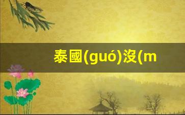 泰國(guó)沒(méi)有銀行卡換錢(qián)(泰國(guó)銀行卡怎么辦理)
