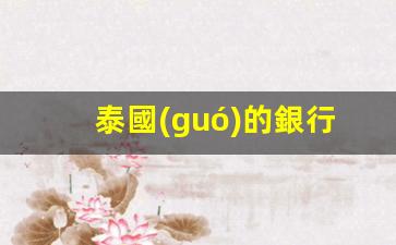 泰國(guó)的銀行卡好用嗎現(xiàn)在(泰國(guó)的銀行卡可以在中國(guó)取錢(qián)嗎)